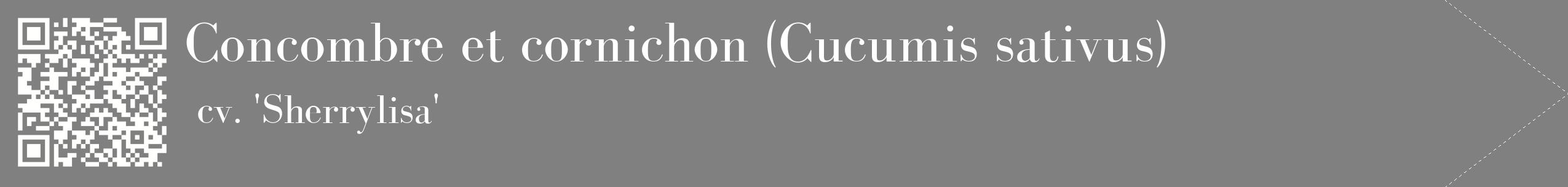 étiquette 2