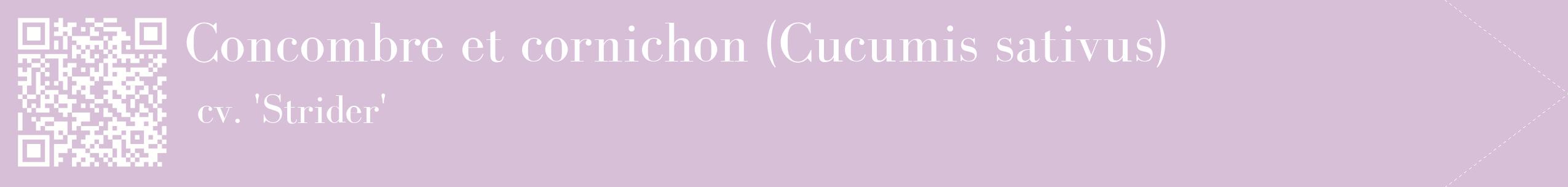étiquette 2