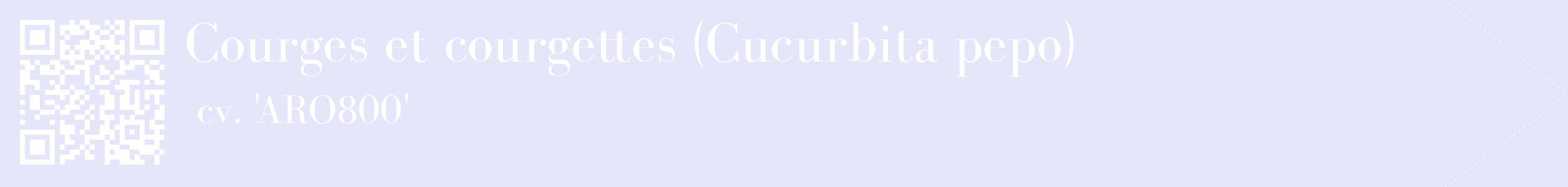 étiquette 2
