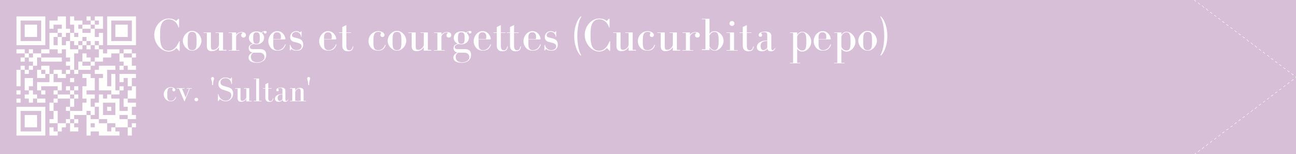 étiquette 2