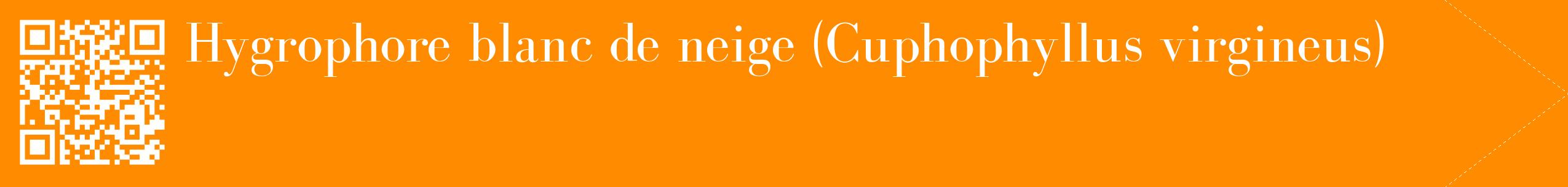 étiquette 2