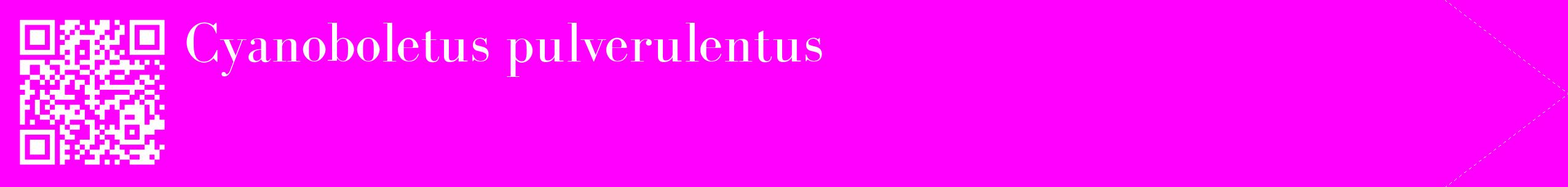 étiquette 2