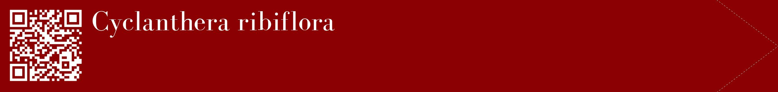 étiquette 2