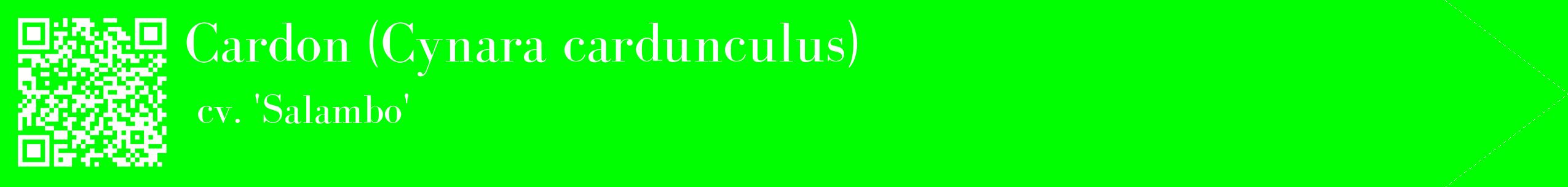 étiquette 2