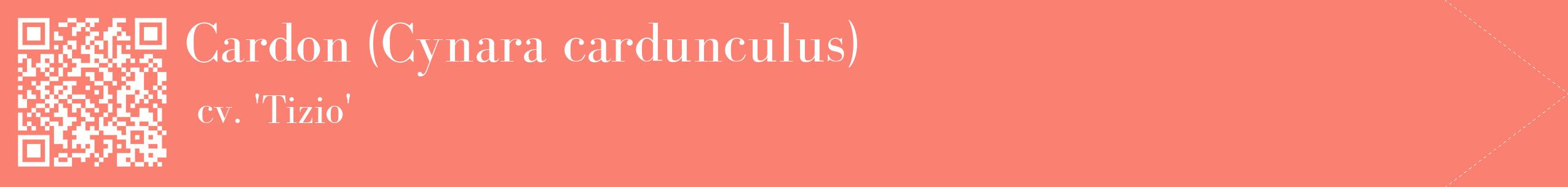 étiquette 2