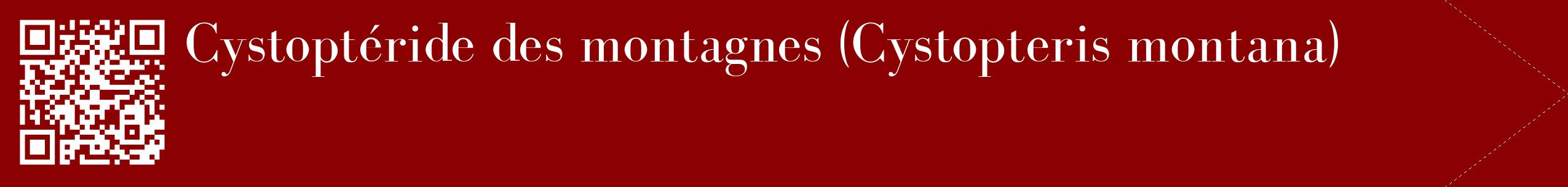 étiquette 2