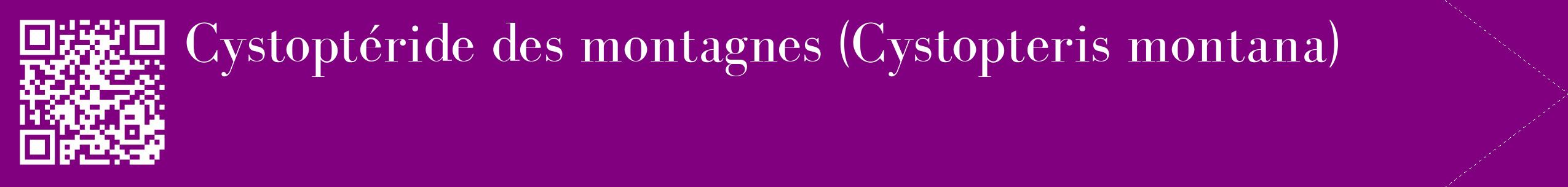 étiquette 2