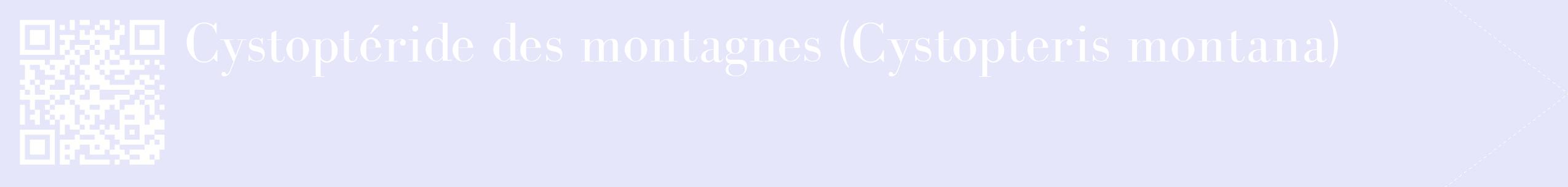étiquette 2