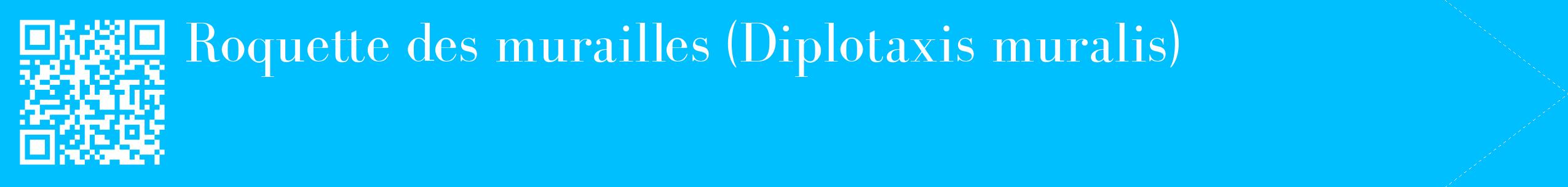 étiquette 2