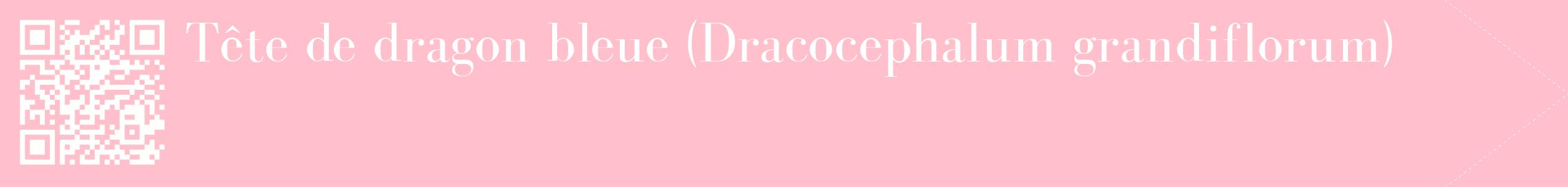 étiquette 2