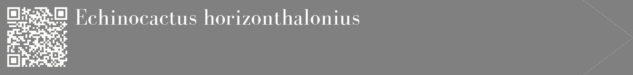 étiquette 2