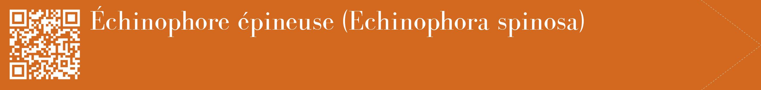 étiquette 2