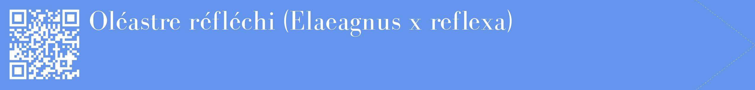 étiquette 2