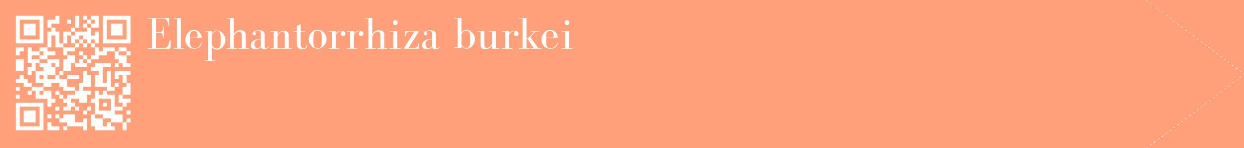 étiquette 2