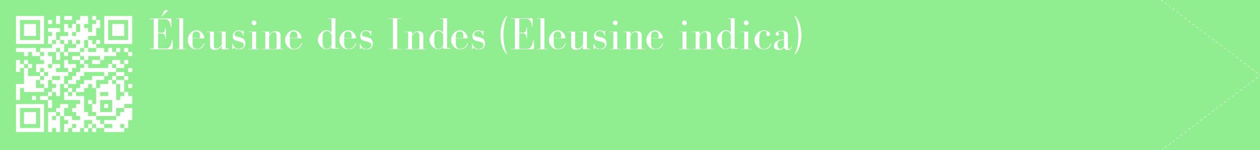 étiquette 2