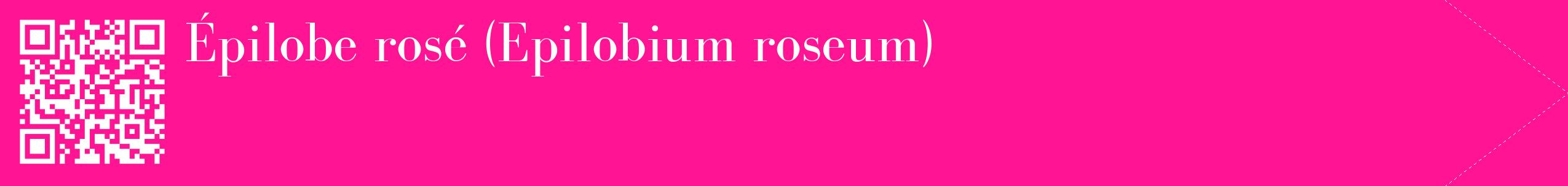 étiquette 2