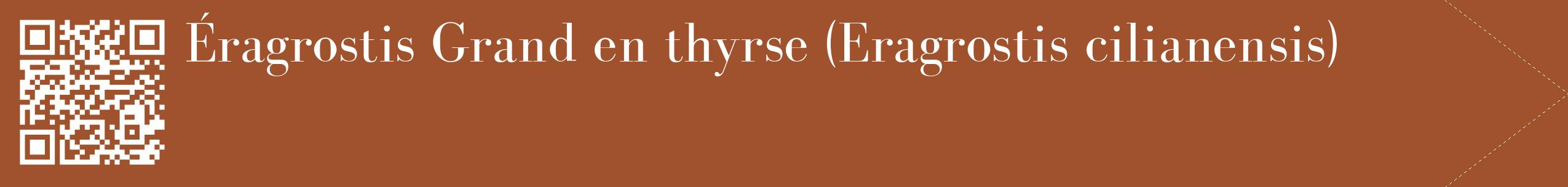 étiquette 2