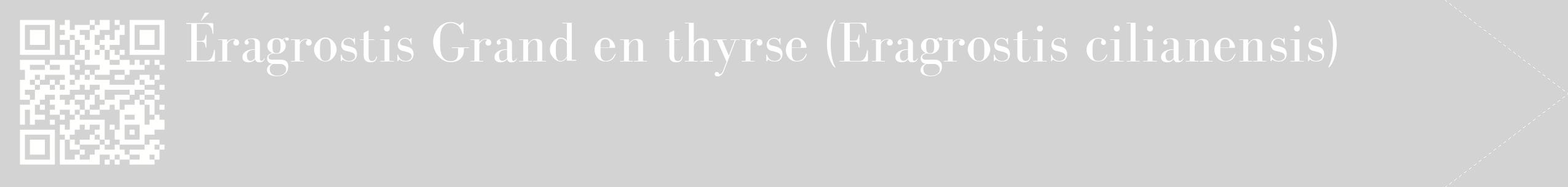 étiquette 2