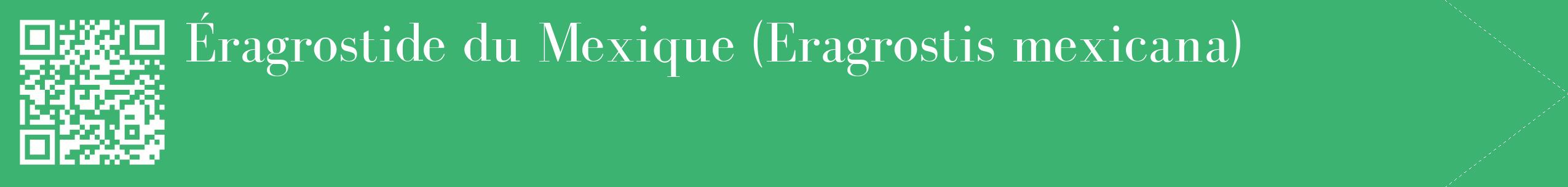 étiquette 2