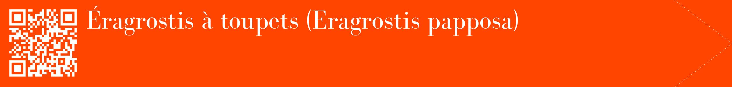 étiquette 2