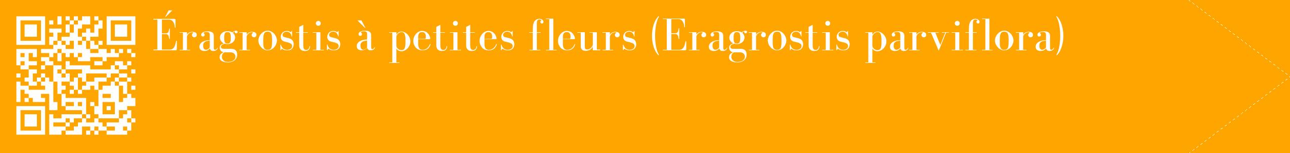 étiquette 2