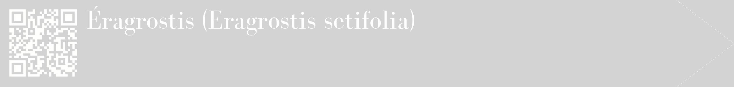 étiquette 2