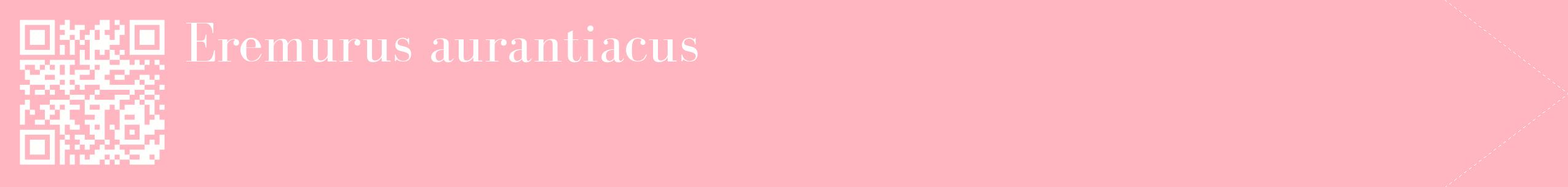étiquette 2