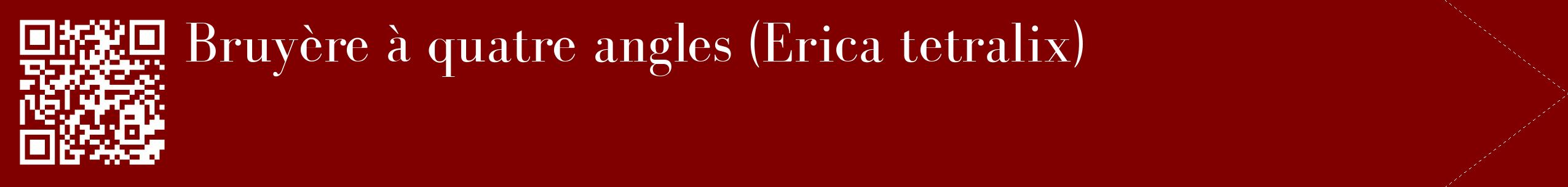 étiquette 2