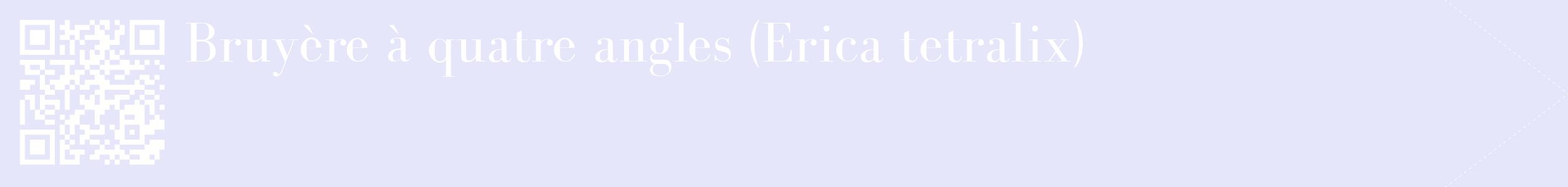 étiquette 2