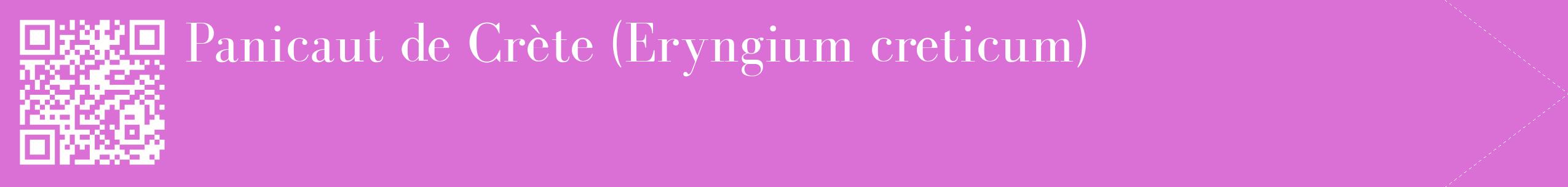 étiquette 2