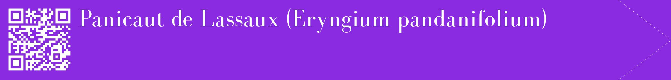 étiquette 2
