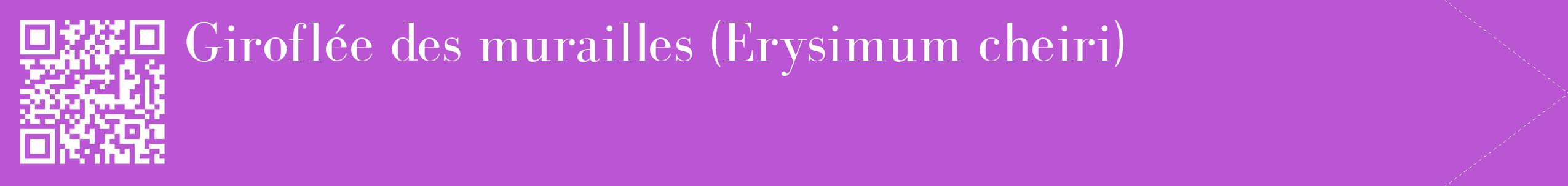 étiquette 2