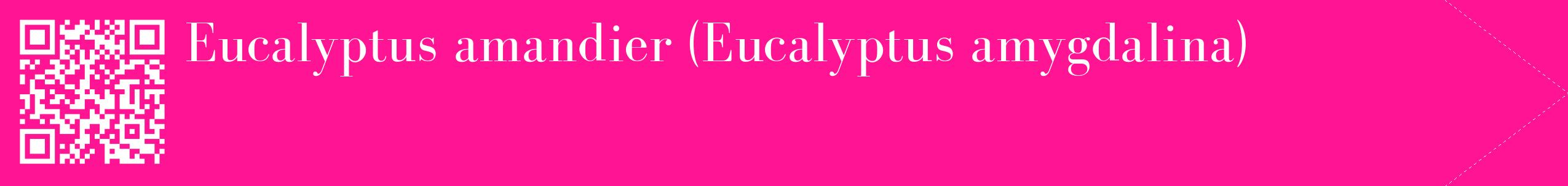 étiquette 2