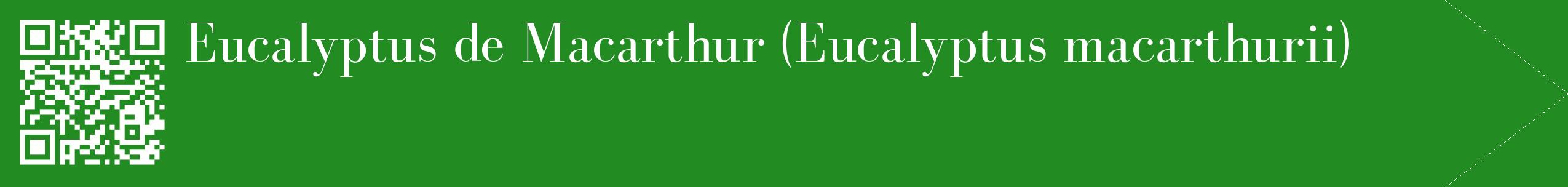 étiquette 2