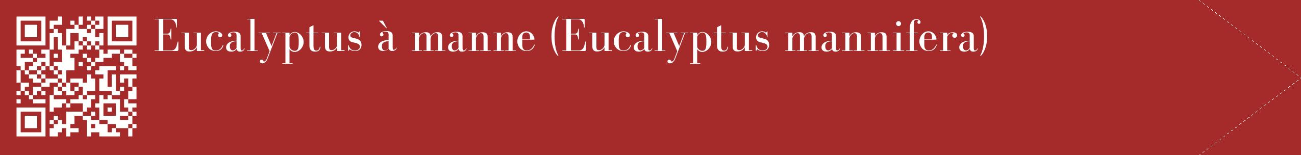 étiquette 2