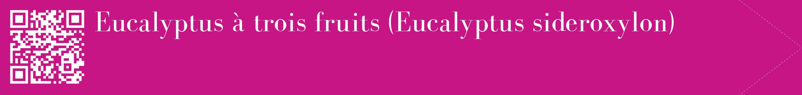 étiquette 2