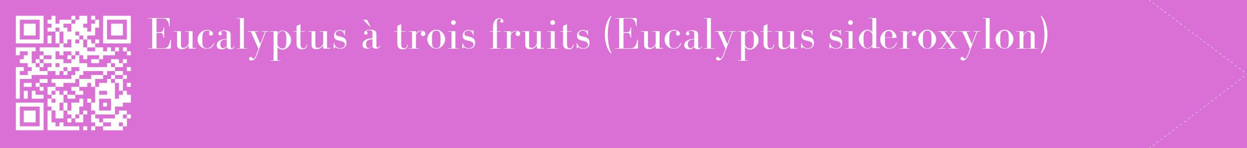 étiquette 2