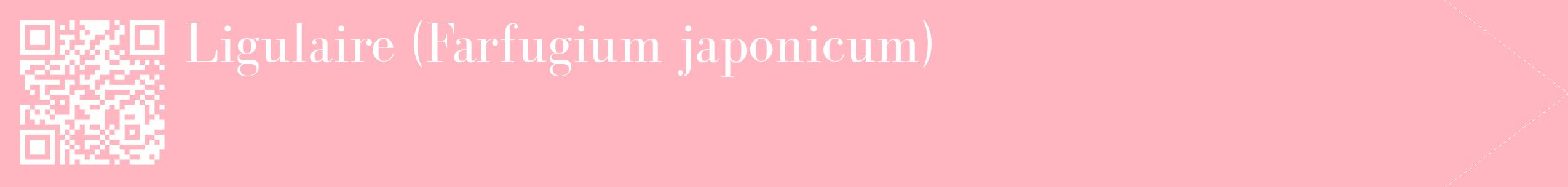 étiquette 2