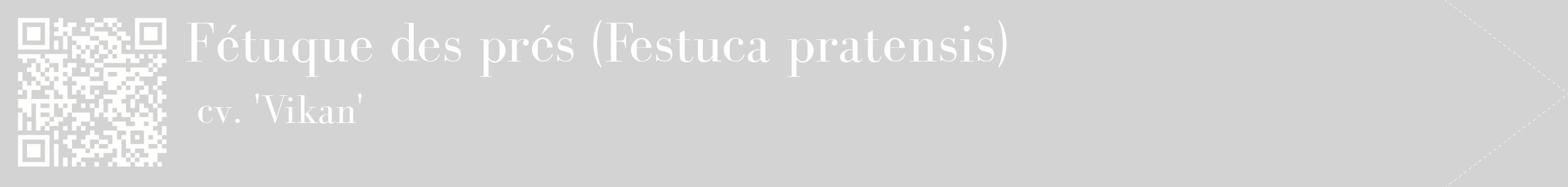 étiquette 2