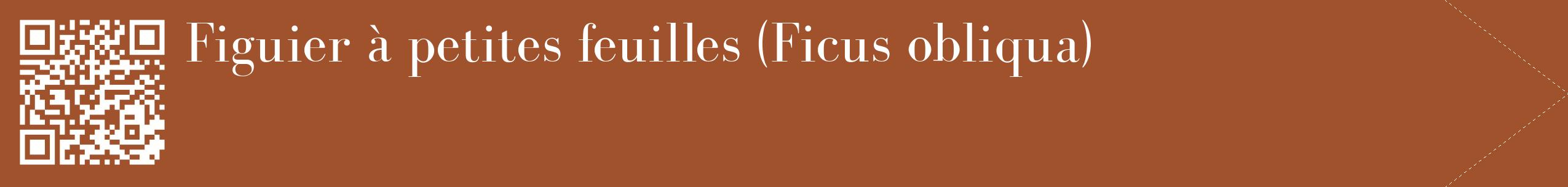 étiquette 2
