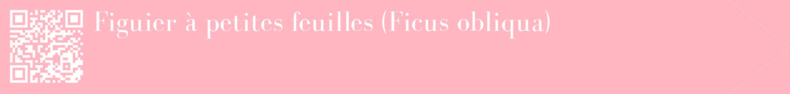 étiquette 2