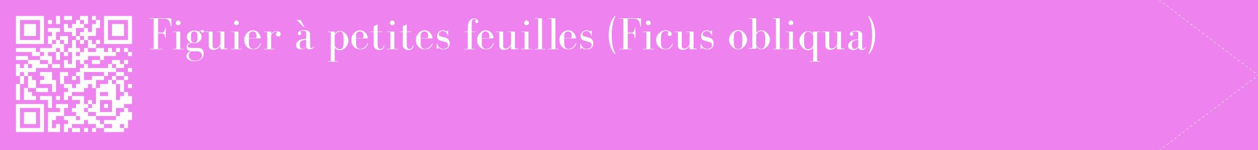étiquette 2