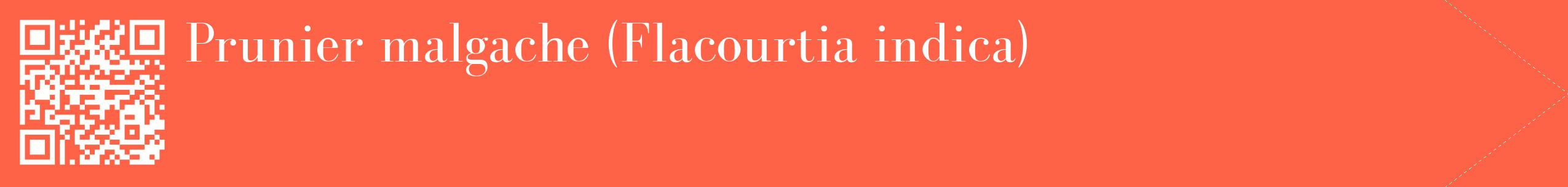 étiquette 2