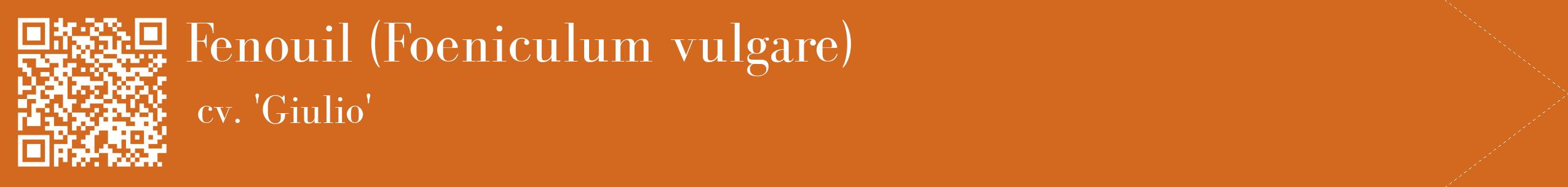 étiquette 2