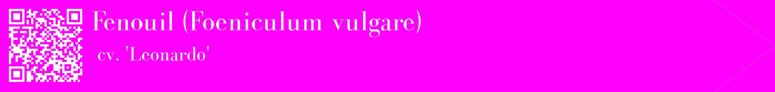 étiquette 2