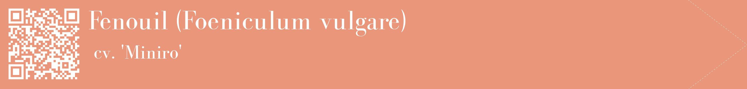 étiquette 2