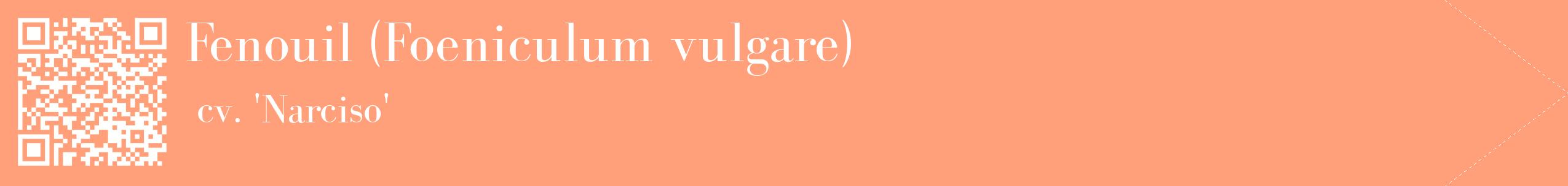 étiquette 2