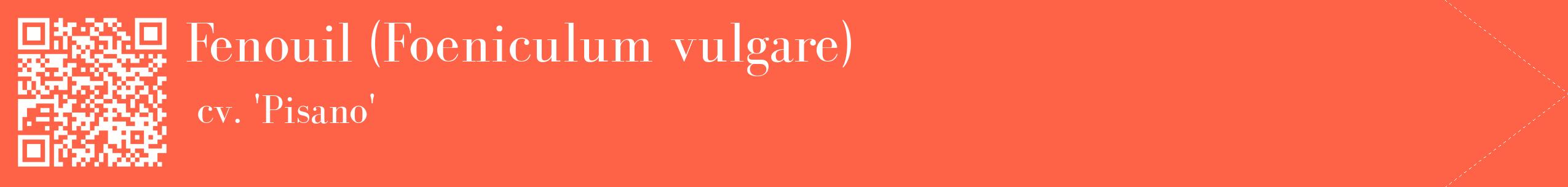 étiquette 2
