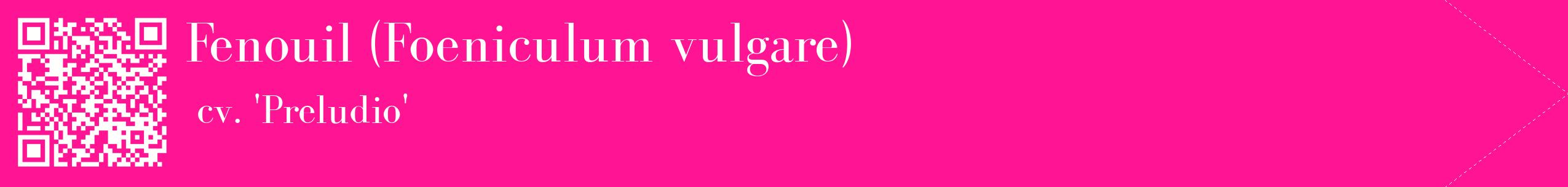 étiquette 2