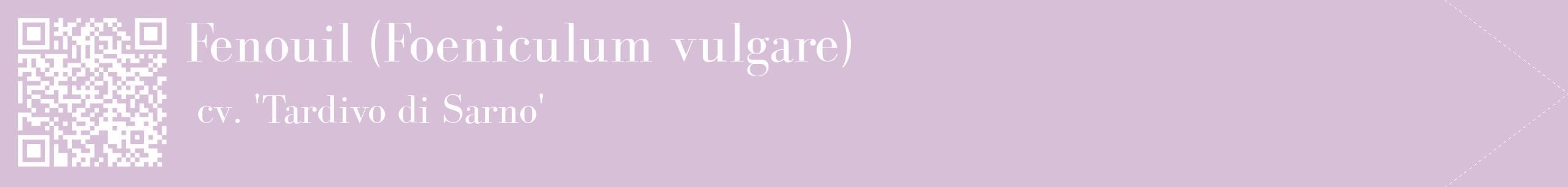 étiquette 2